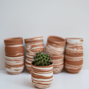 Pot à cactus