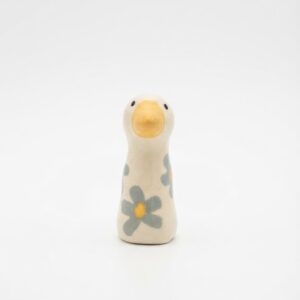 Oiseau Hawaïen